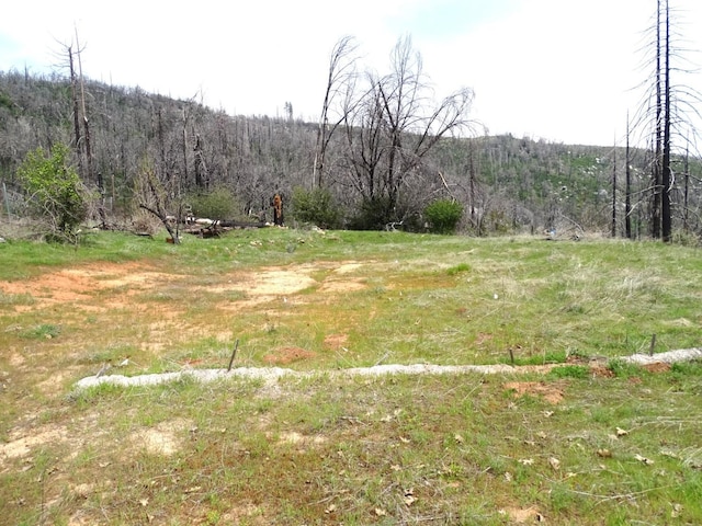 36728 Peterson Rd, Auberry, CA 93602 - photo 21