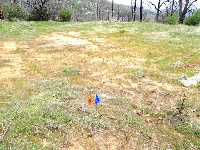 36728 Peterson Rd, Auberry, CA 93602 - photo 36