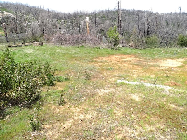 36728 Peterson Rd, Auberry, CA 93602 - photo 22