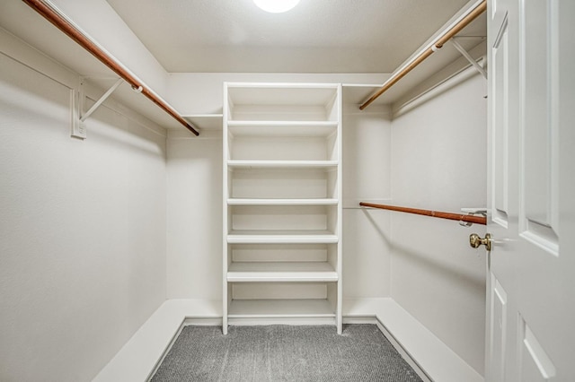 walk in closet with carpet flooring