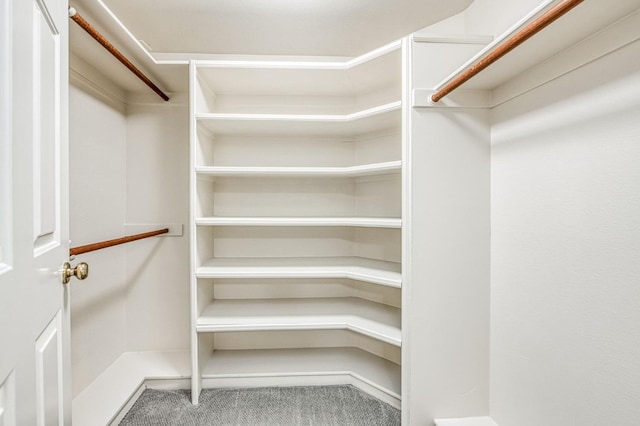 spacious closet featuring carpet floors