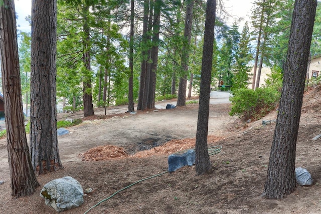 7501 Yosemite Park Way, Yosemite, CA 95389 - photo 46