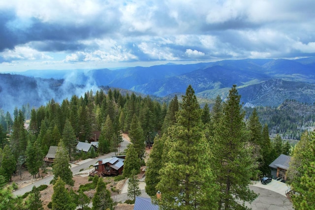 7501 Yosemite Park Way, Yosemite, CA 95389 - photo 51