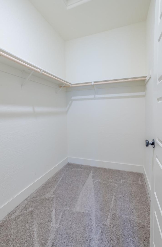spacious closet with carpet