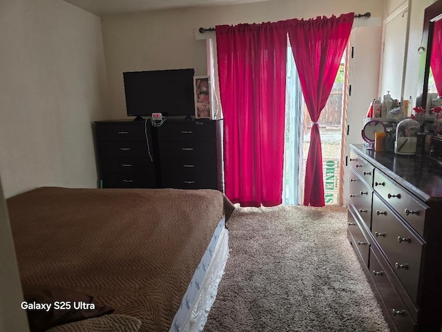21754 California, San Joaquin, CA 93660 - carpeted bedroom with access to outside