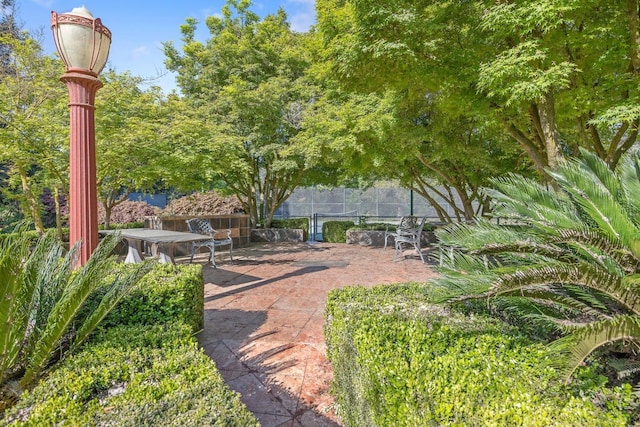 view of yard with a patio and fence