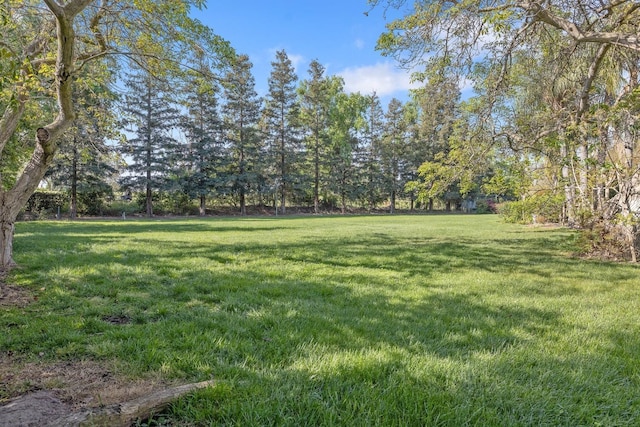 view of yard