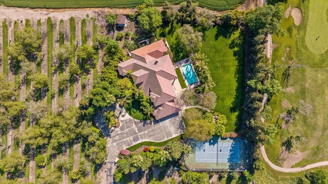 bird's eye view