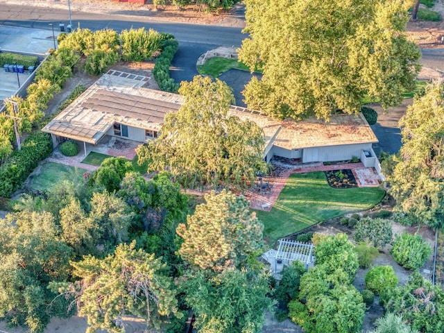 bird's eye view