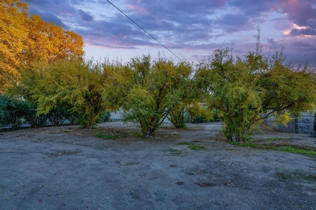 view of yard at dusk