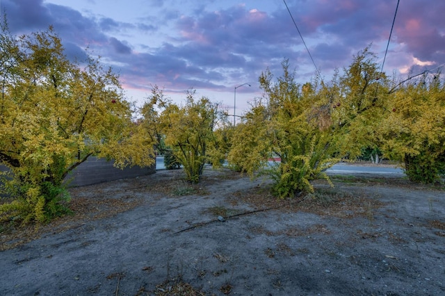 view of nature at dusk