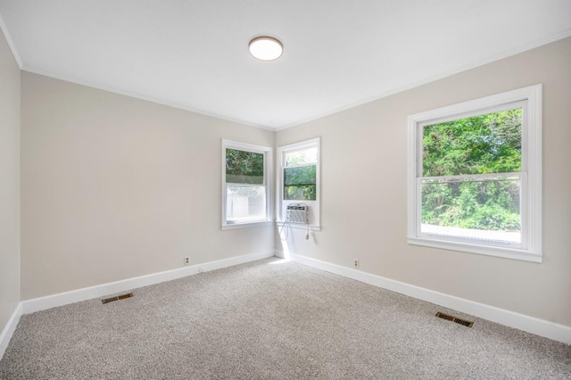 spare room with visible vents, carpet, and ornamental molding