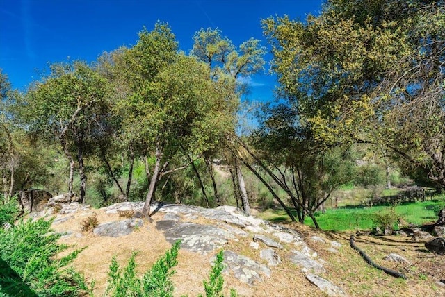 41056 Deer Creek Dr, Oakhurst, CA 93644 - photo 24