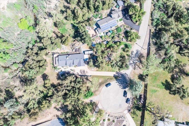 41056 Deer Creek Dr, Oakhurst, CA 93644 - photo 29