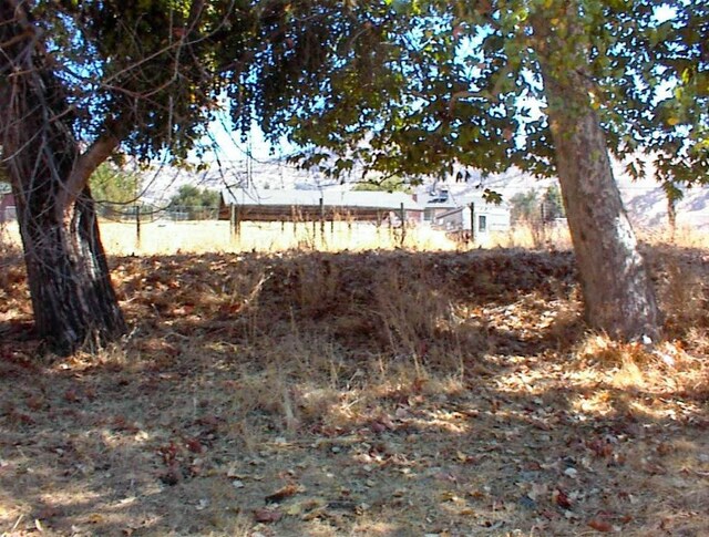 7081 Live Oak, Wonder Valley, CA 93657 - view of yard