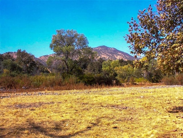 7081 Live Oak, Wonder Valley, CA 93657 - mountain view