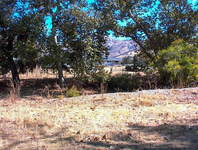 7081 Live Oak, Wonder Valley, CA 93657 - view of landscape with a mountain view
