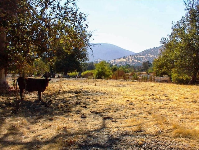 7081 Live Oak, Wonder Valley, CA 93657 - view of mountain feature with a rural view