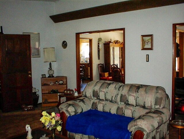 7081 Live Oak, Wonder Valley, CA 93657 - view of living room