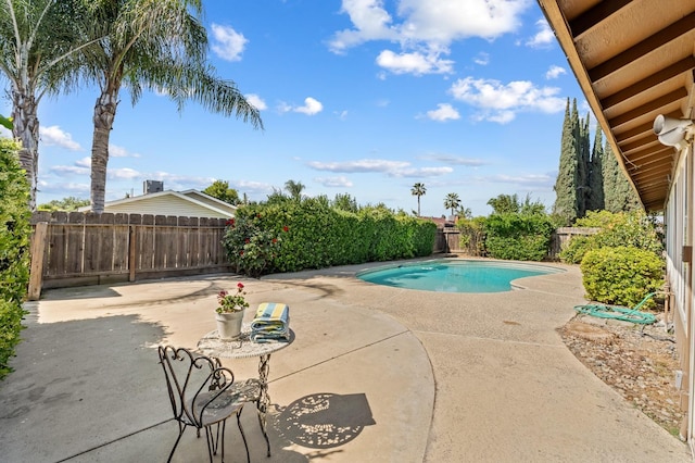view of swimming pool with a patio area, a fenced in pool, and a fenced backyard