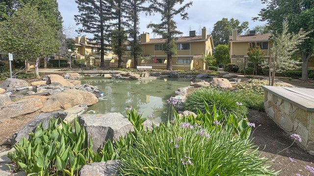 view of yard with a garden pond