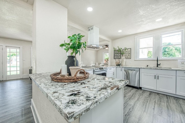 2225 N Van Ness Blvd, Fresno, CA 93704 - kitchen featuring a sink, island range hood, stainless steel appliances, a peninsula, and healthy amount of natural light