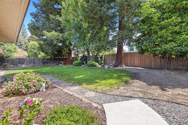 view of yard with a fenced backyard