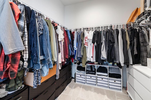 walk in closet featuring carpet