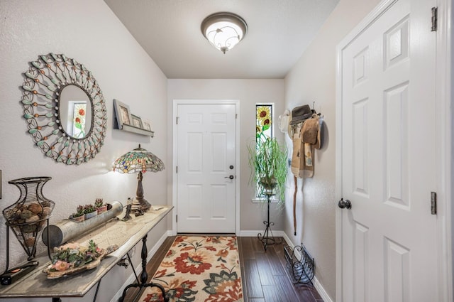 foyer with baseboards and dark wood-style flooring