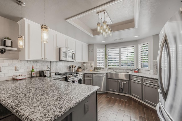 kitchen featuring a sink, stainless steel appliances, a tray ceiling, a peninsula, and backsplash