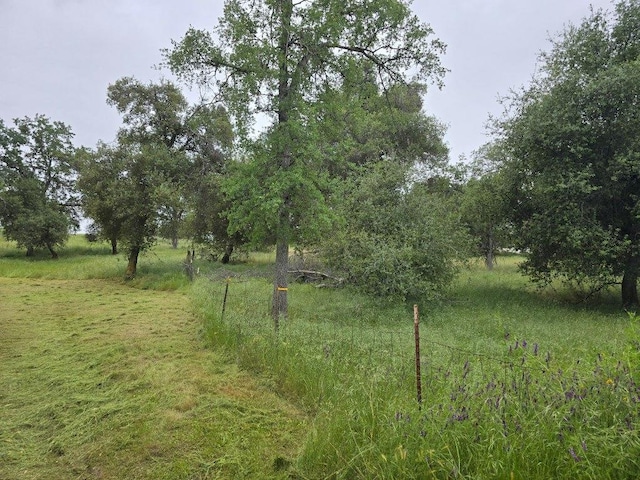 28826 Auberry Rd, Clovis, CA 93619 - view of nature