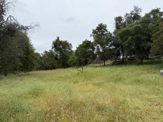 28826 Auberry Rd, Clovis, CA 93619 - view of local wilderness