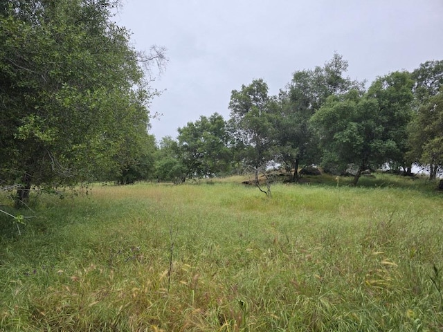 28826 Auberry Rd, Clovis, CA 93619 - view of yard
