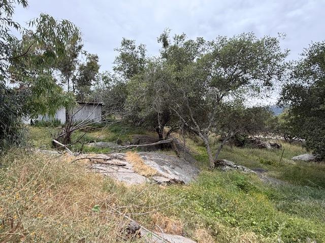 28826 Auberry Rd, Clovis, CA 93619 - view of yard
