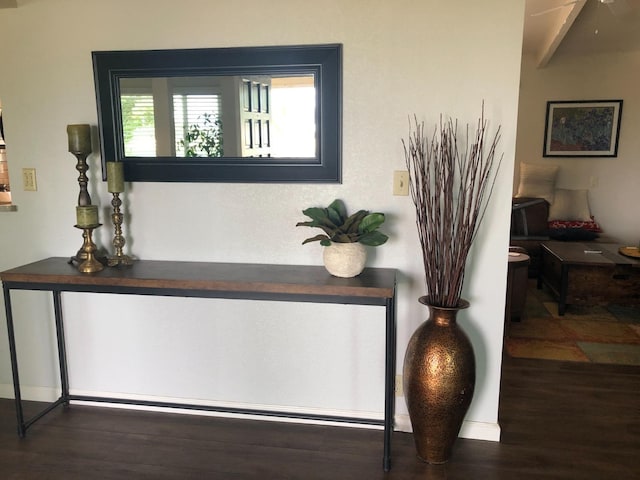 room details featuring wood finished floors and baseboards