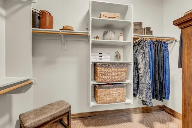 42596 Garnet Ln, Shaver Lake, CA 93664 - view of spacious closet