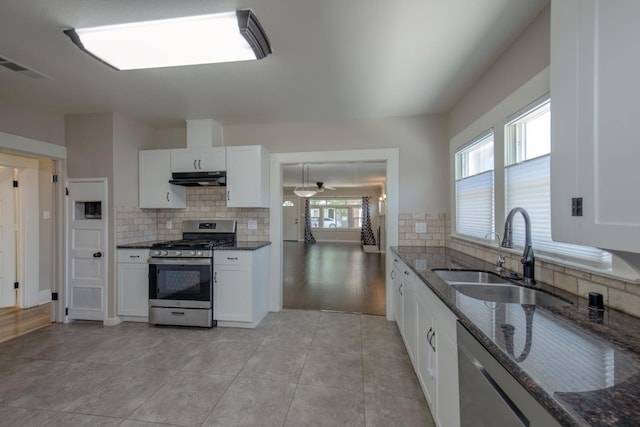 kitchen with tasteful backsplash, stainless steel appliances, under cabinet range hood, and a sink