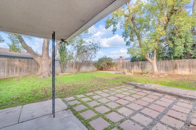 view of yard with a patio and a fenced backyard
