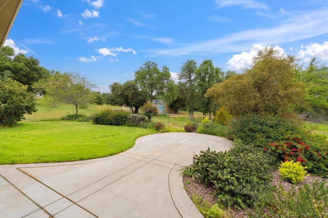 view of property's community with a yard
