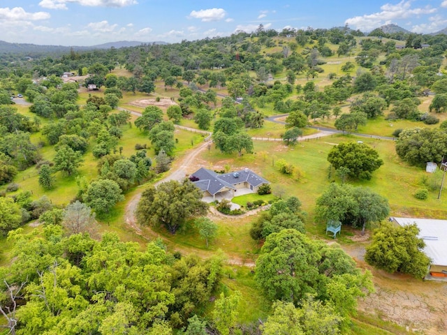 birds eye view of property featuring a mountain view