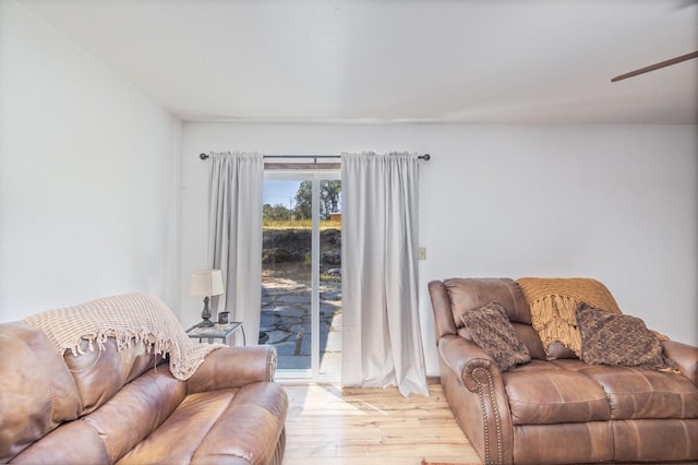 living area with ceiling fan and light wood-type flooring