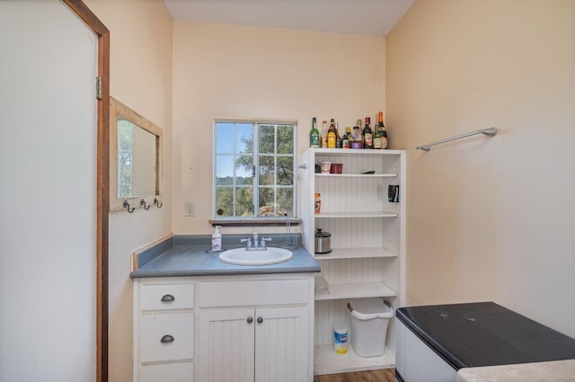 bathroom featuring wood finished floors and vanity