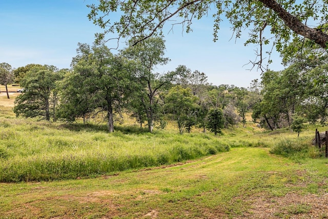 view of local wilderness