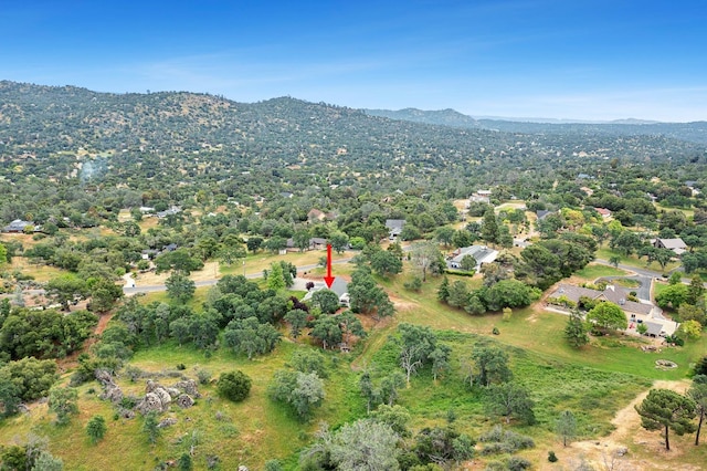 drone / aerial view featuring a mountain view