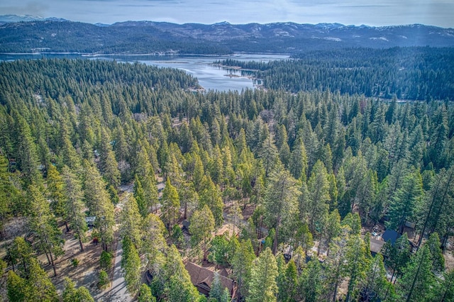drone / aerial view with a water and mountain view and a forest view