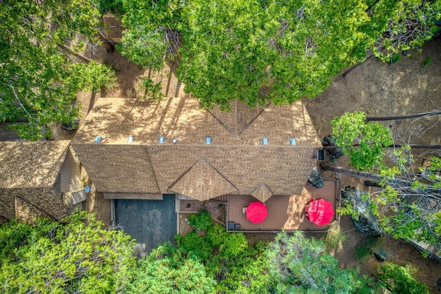 drone / aerial view