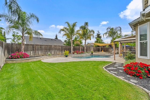 view of yard featuring a fenced backyard and a patio area