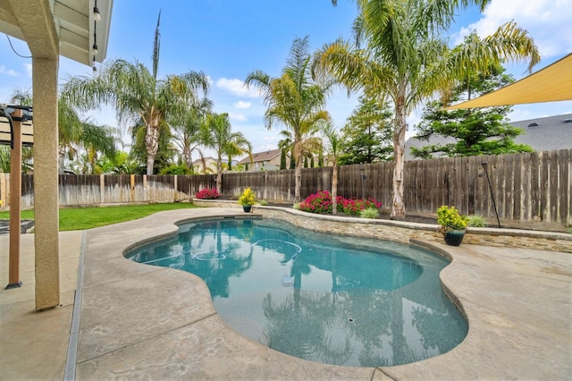 view of swimming pool with a fenced in pool, a patio area, and a fenced backyard