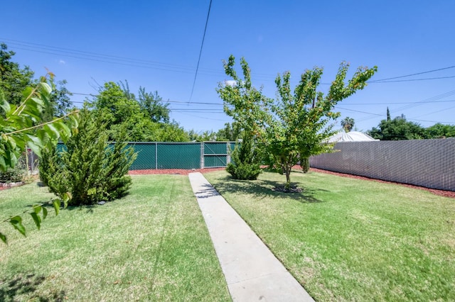 view of yard
