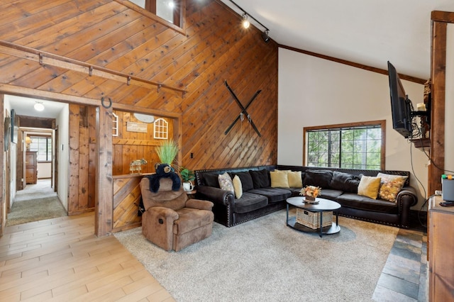 living area featuring track lighting, wooden walls, plenty of natural light, and high vaulted ceiling